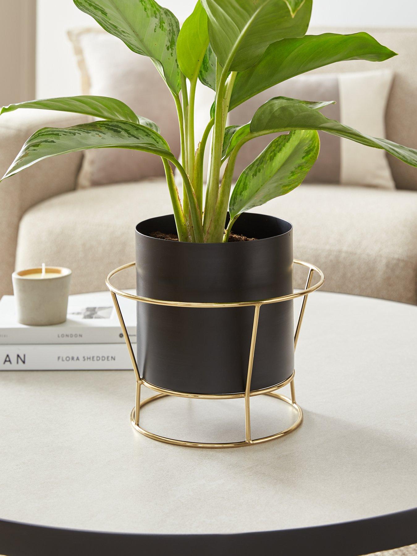 Image 1 of 6 of Michelle Keegan Home Gigi Planter