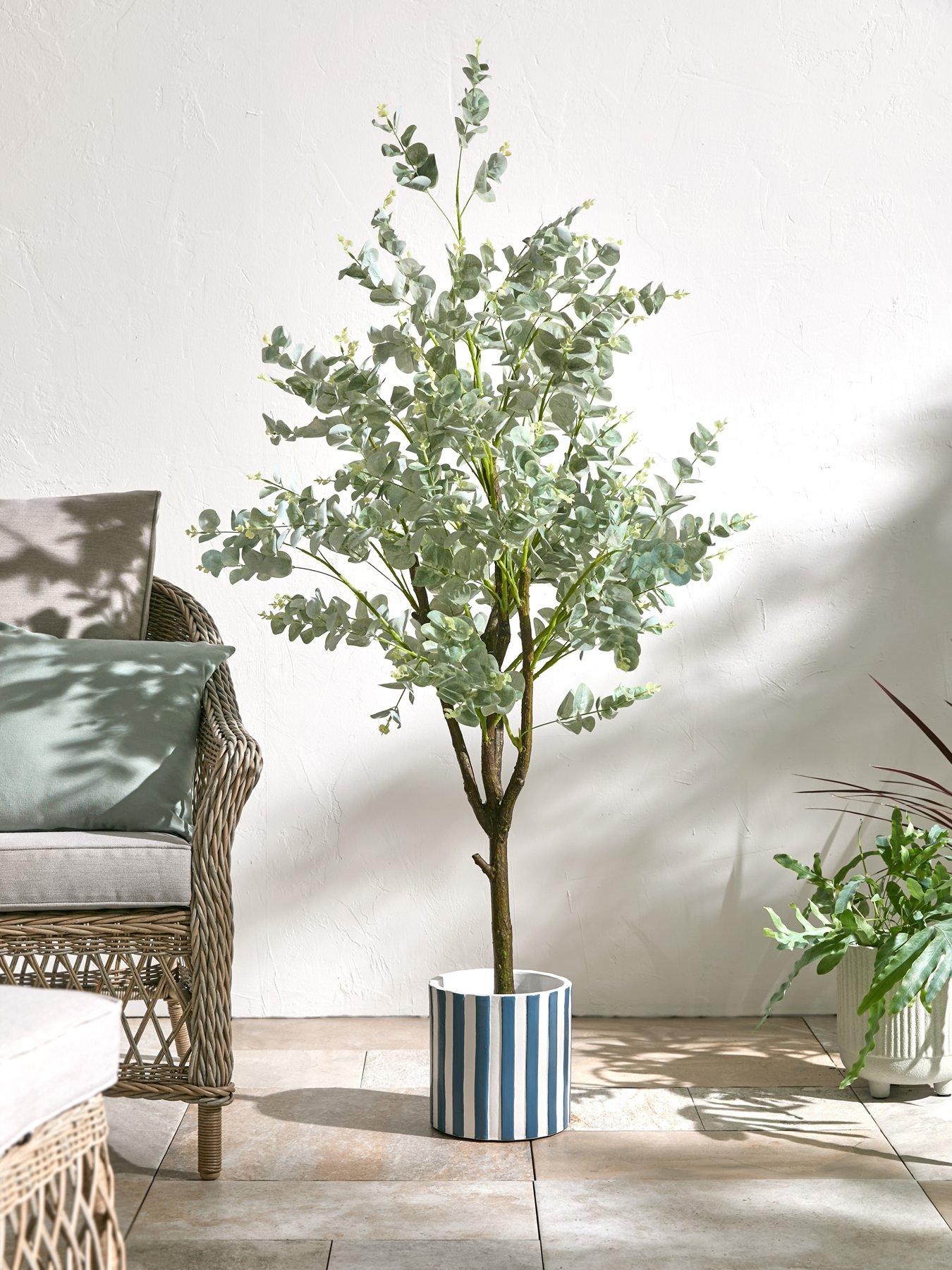 Image 1 of 5 of The Very Collection 150cm Faux Eucalyptus Potted Tree (Indoor or Outdoor)