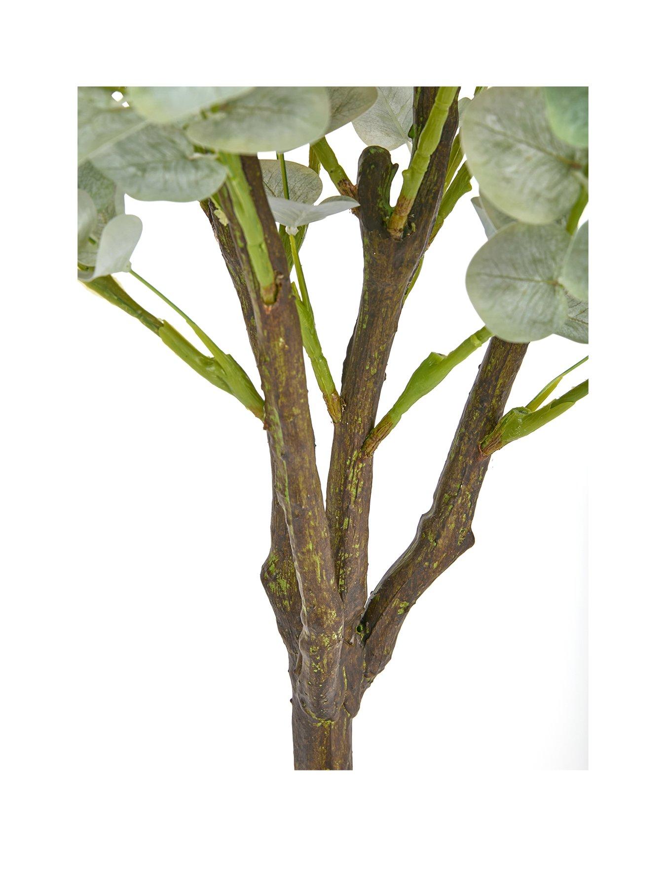 Image 3 of 5 of The Very Collection 150cm Faux Eucalyptus Potted Tree (Indoor or Outdoor)