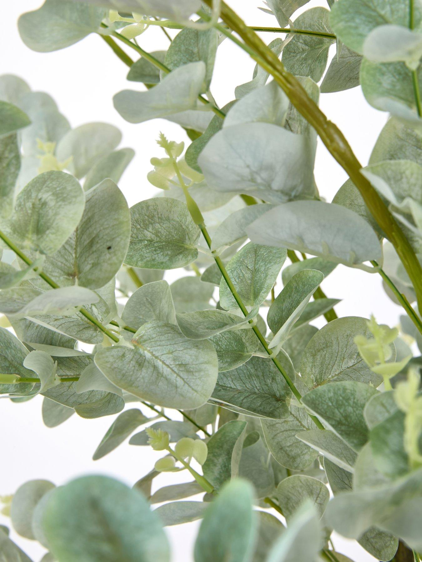 Image 5 of 5 of The Very Collection 150cm Faux Eucalyptus Potted Tree (Indoor or Outdoor)