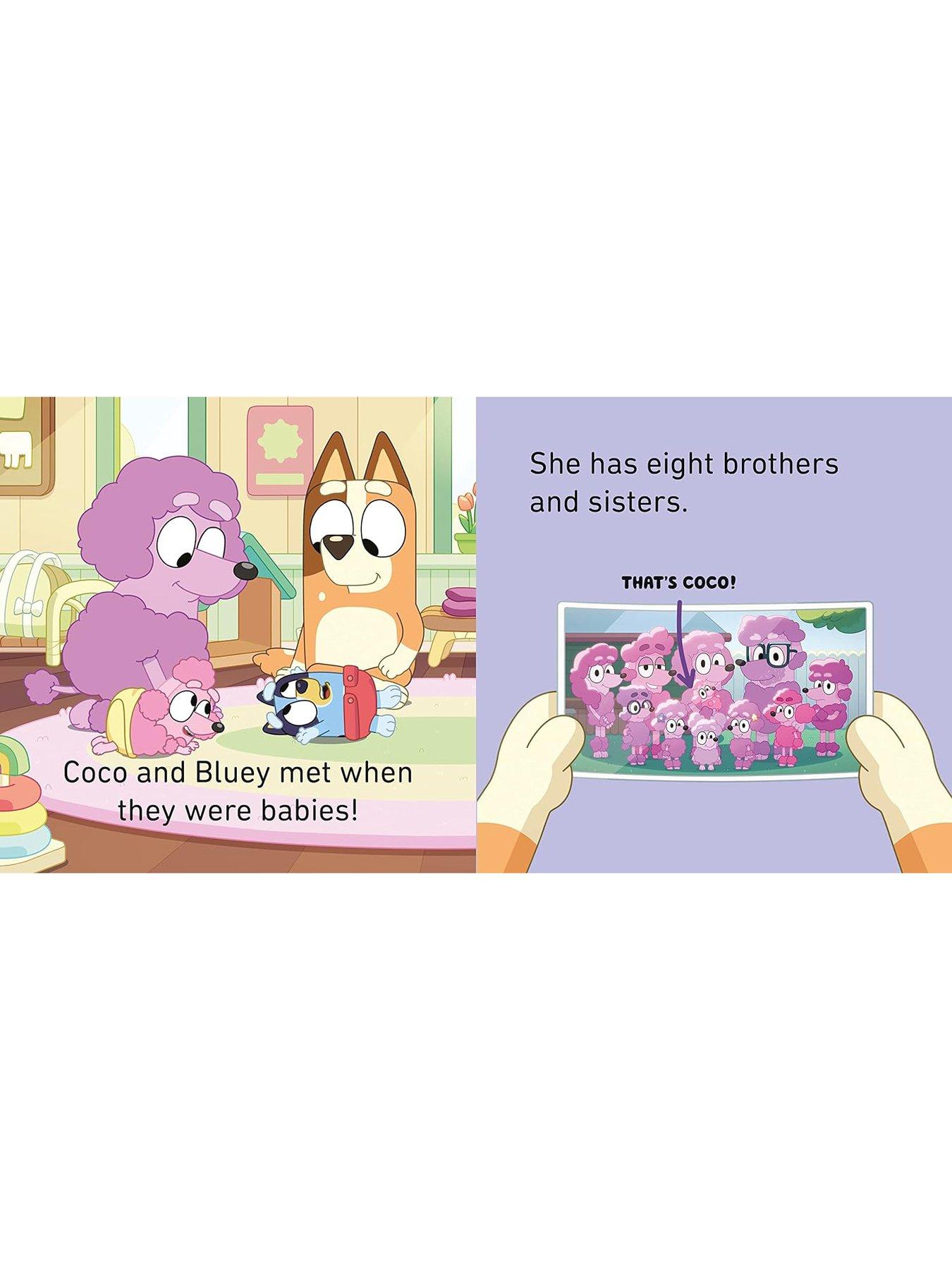 Image 4 of 4 of Bluey Bluey&nbsp;and Friends Little Library 4 Book Set
