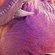 ONE_COLOUR