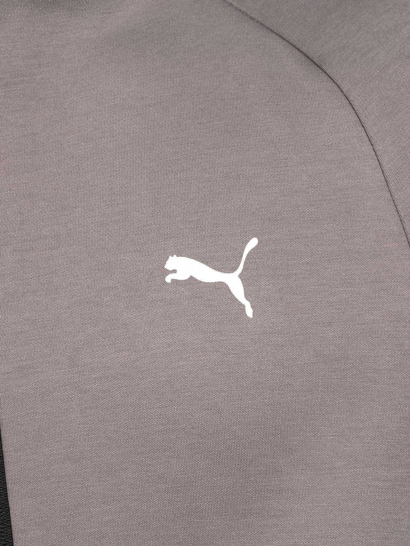 Image 5 of 6 of Puma Mens Evostripe Full-Zip Hoodie - Cast Iron