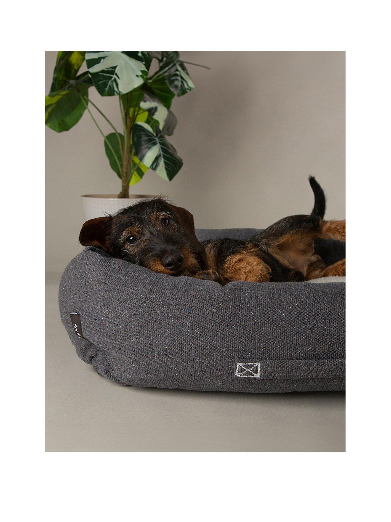 scruffs-eden-box-bed-charcoalstillFront