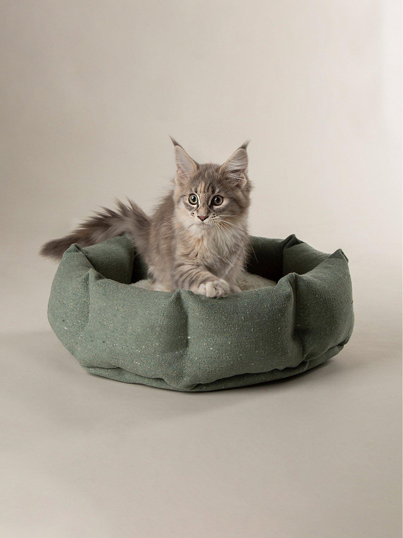 scruffs-scruffs-eden-catsmall-dog-bed-green