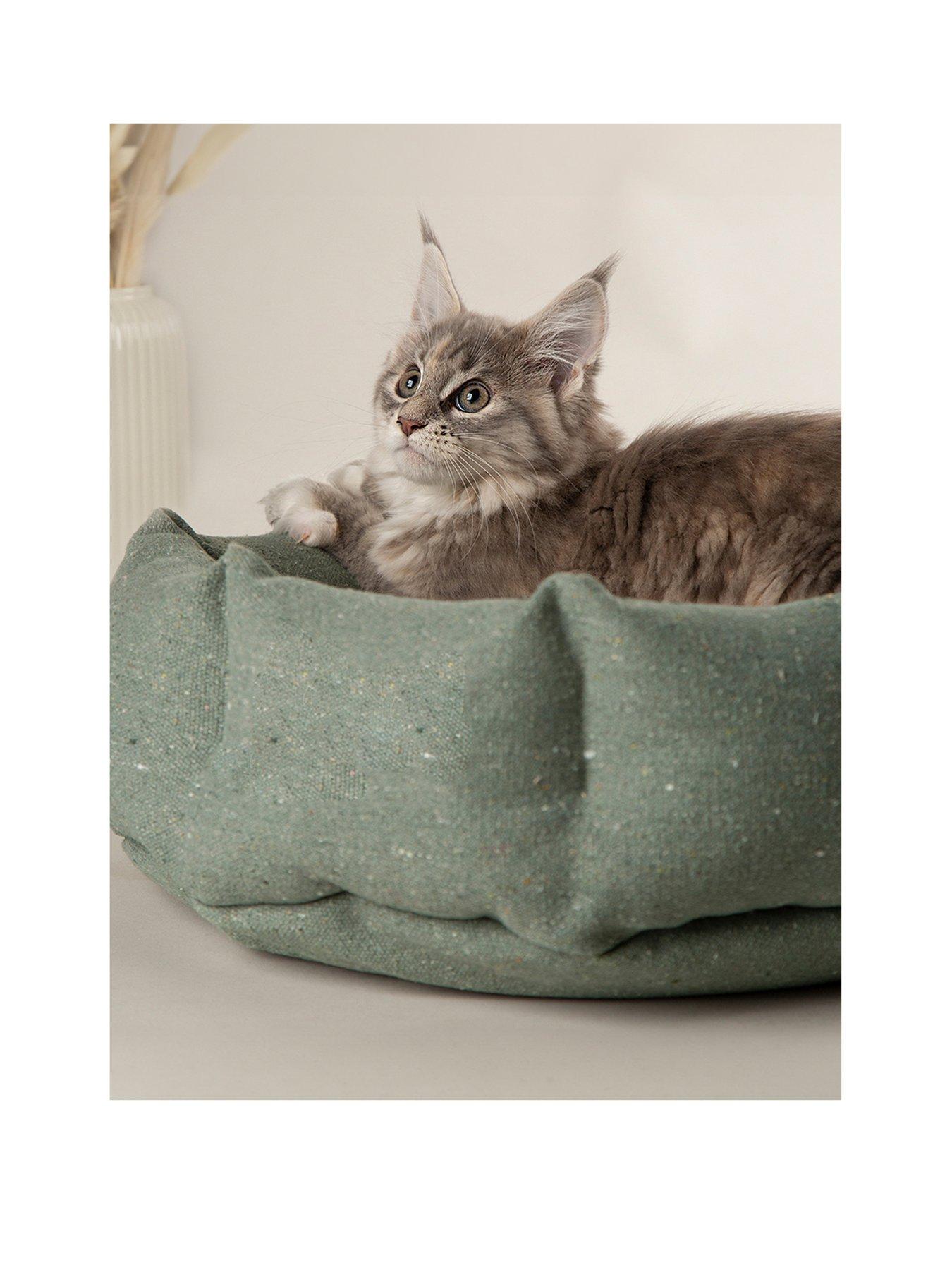 scruffs-scruffs-eden-catsmall-dog-bed-greenstillFront