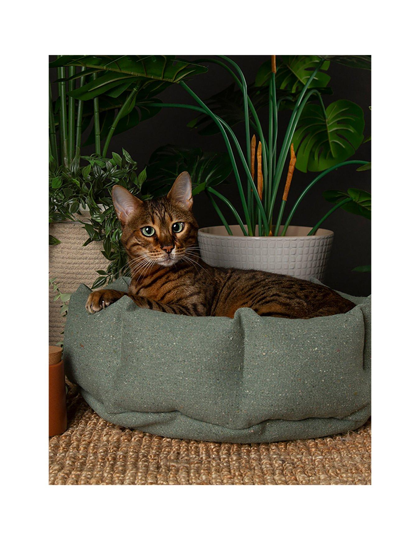 scruffs-scruffs-eden-catsmall-dog-bed-greenback