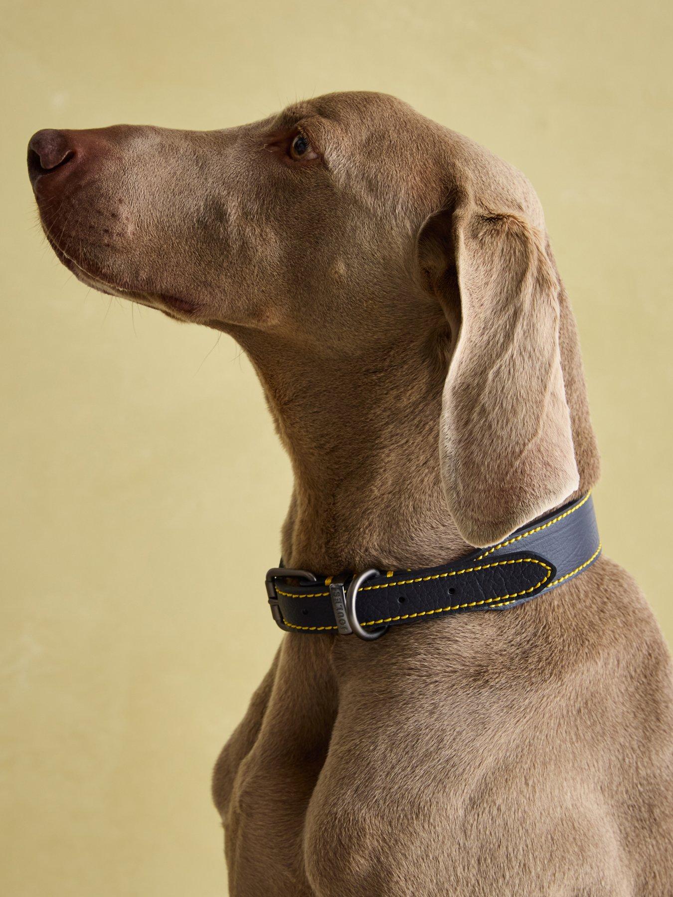 joules-navy-leather-collar-ldetail