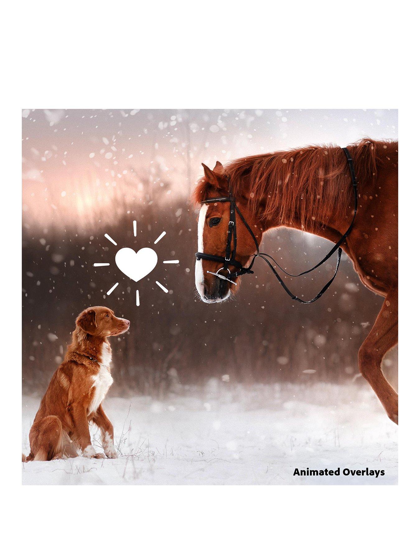 Image 2 of 4 of Adobe Photoshop and Premiere Elements 2025
