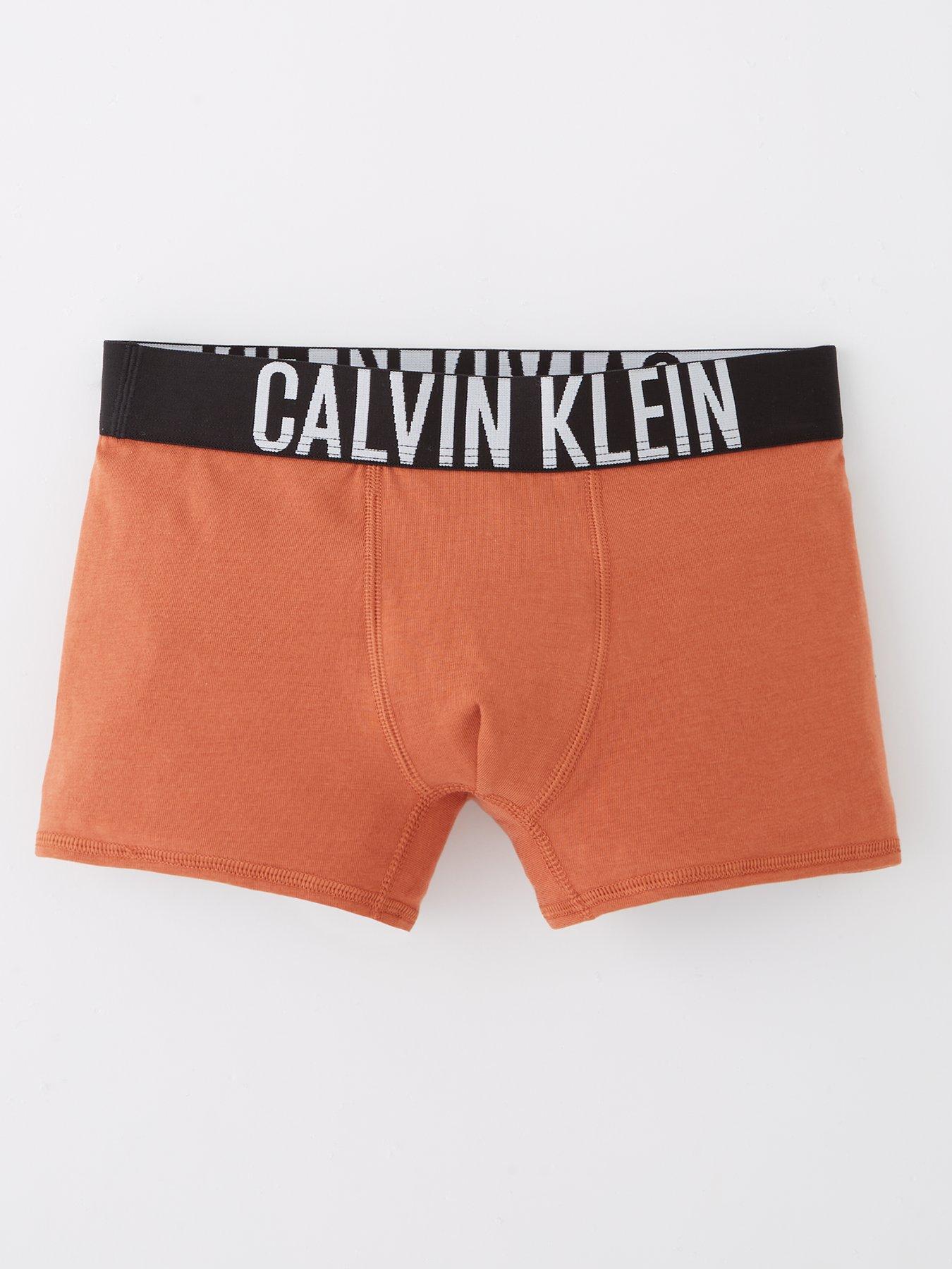 Image 2 of 4 of Calvin Klein Boys 2 Pack Intense Power Trunk - Multi