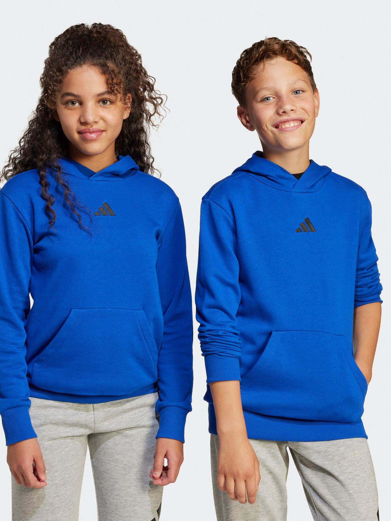 Image of adidas Sportswear Junior Boys Essentials Hoodie  - Blue