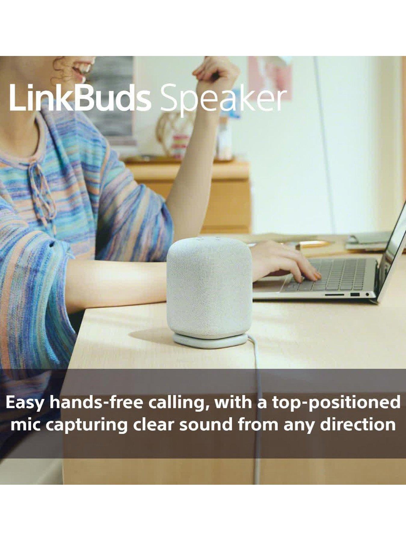 sony-linkbuds-speakeroutfit