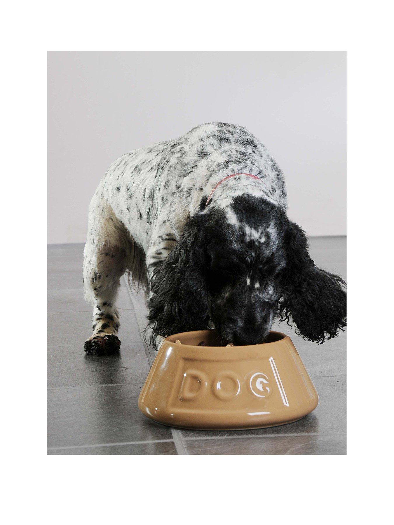 mason-cash-grey-non-tip-lettered-dog-bowl-21cmback