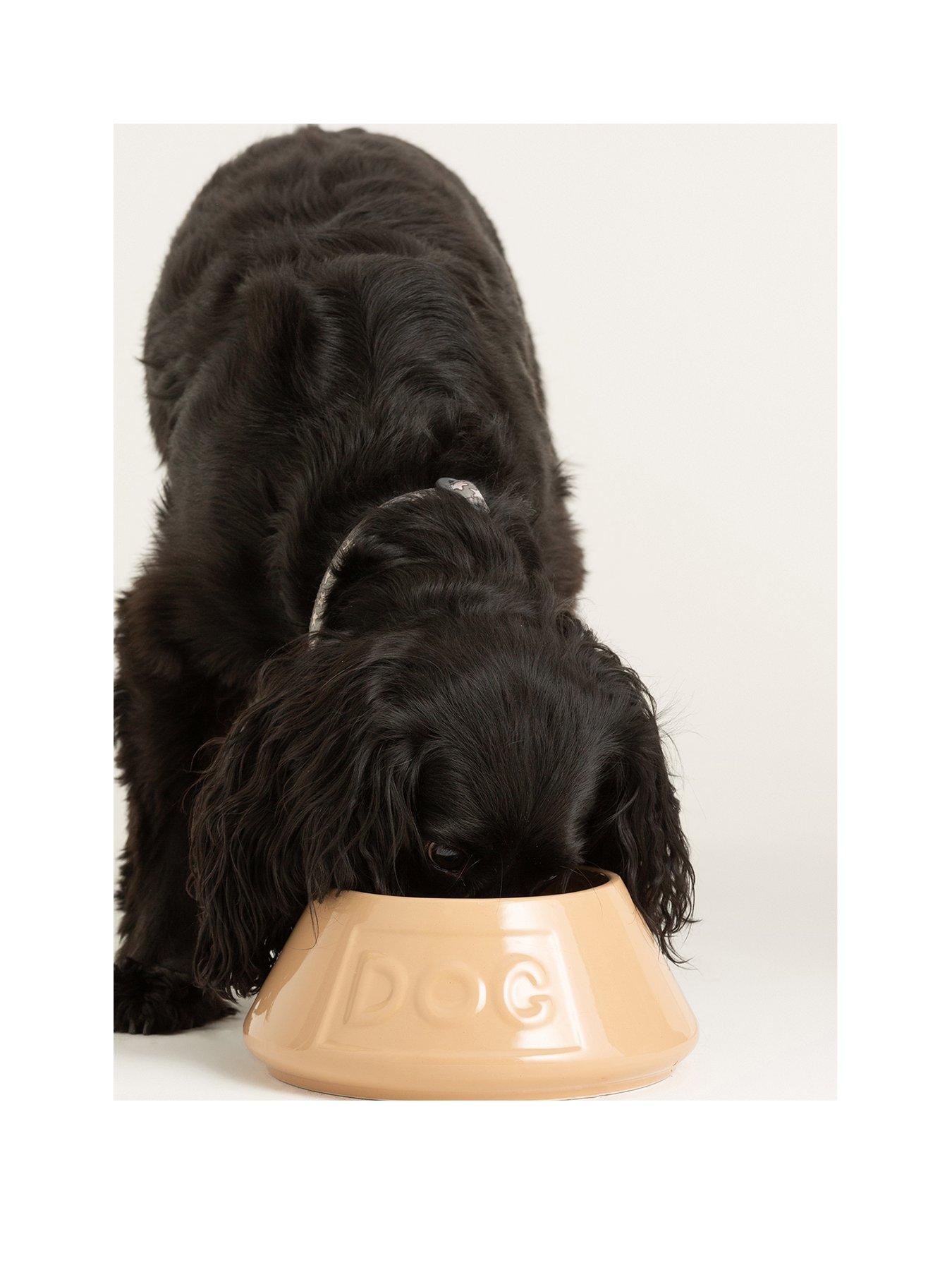 mason-cash-cream-non-tip-lettered-dog-bowl-21cmback