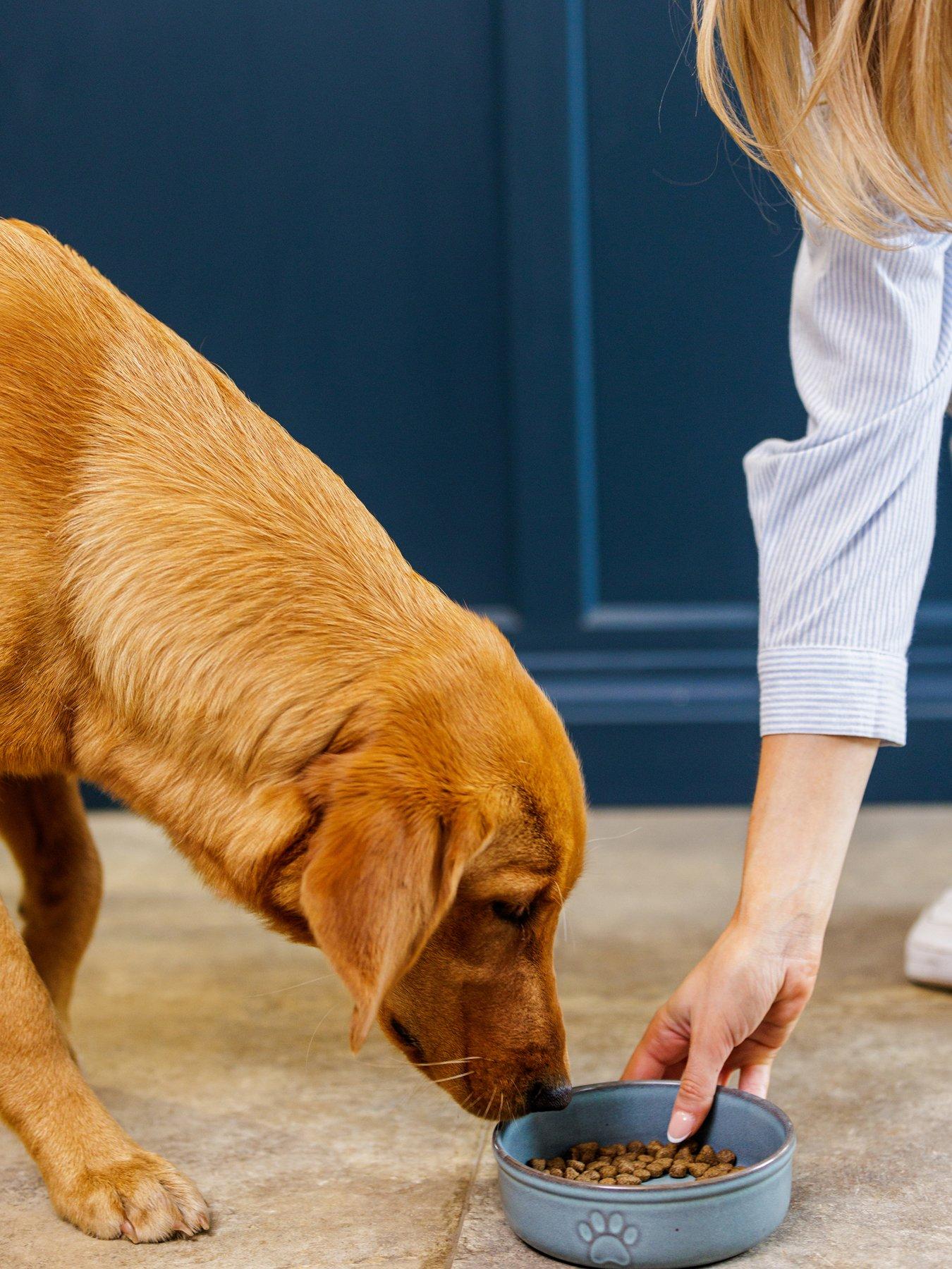 mason-cash-set-of-2-reactive-paw-bowls-18cmfront