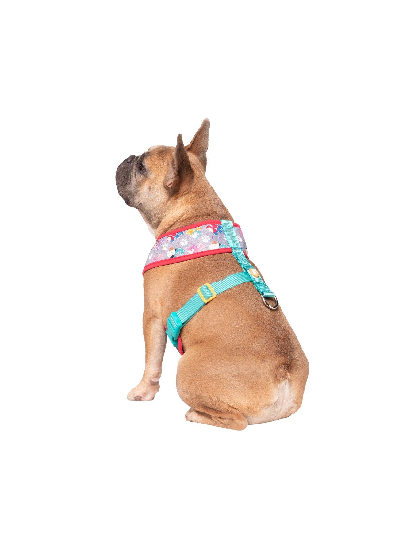 Image 5 of 6 of Squishmallows Original Squad Goals Pet Harness (Small) - Official Jazwares Pets Apparel