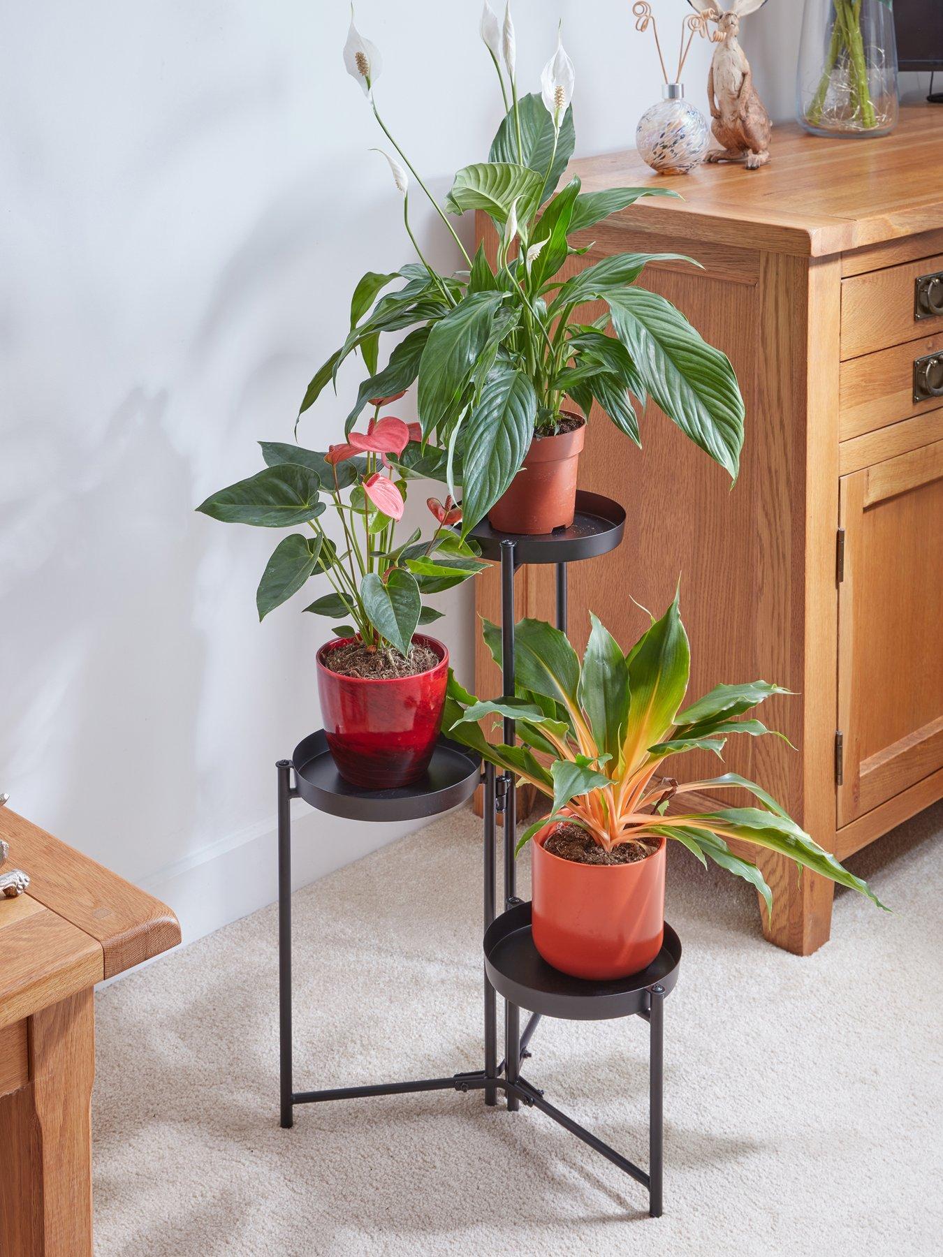 Image 4 of 4 of Smart Garden 3-Tier Plant Stand