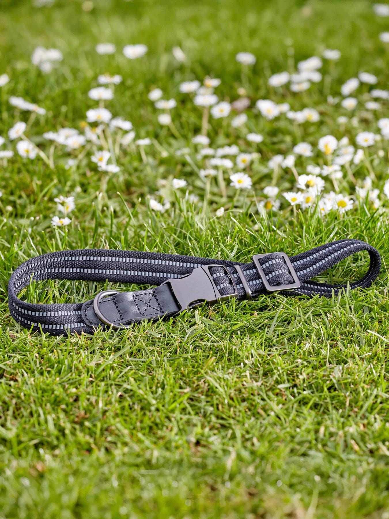 zoon-primo-reflective-collar-jet-s