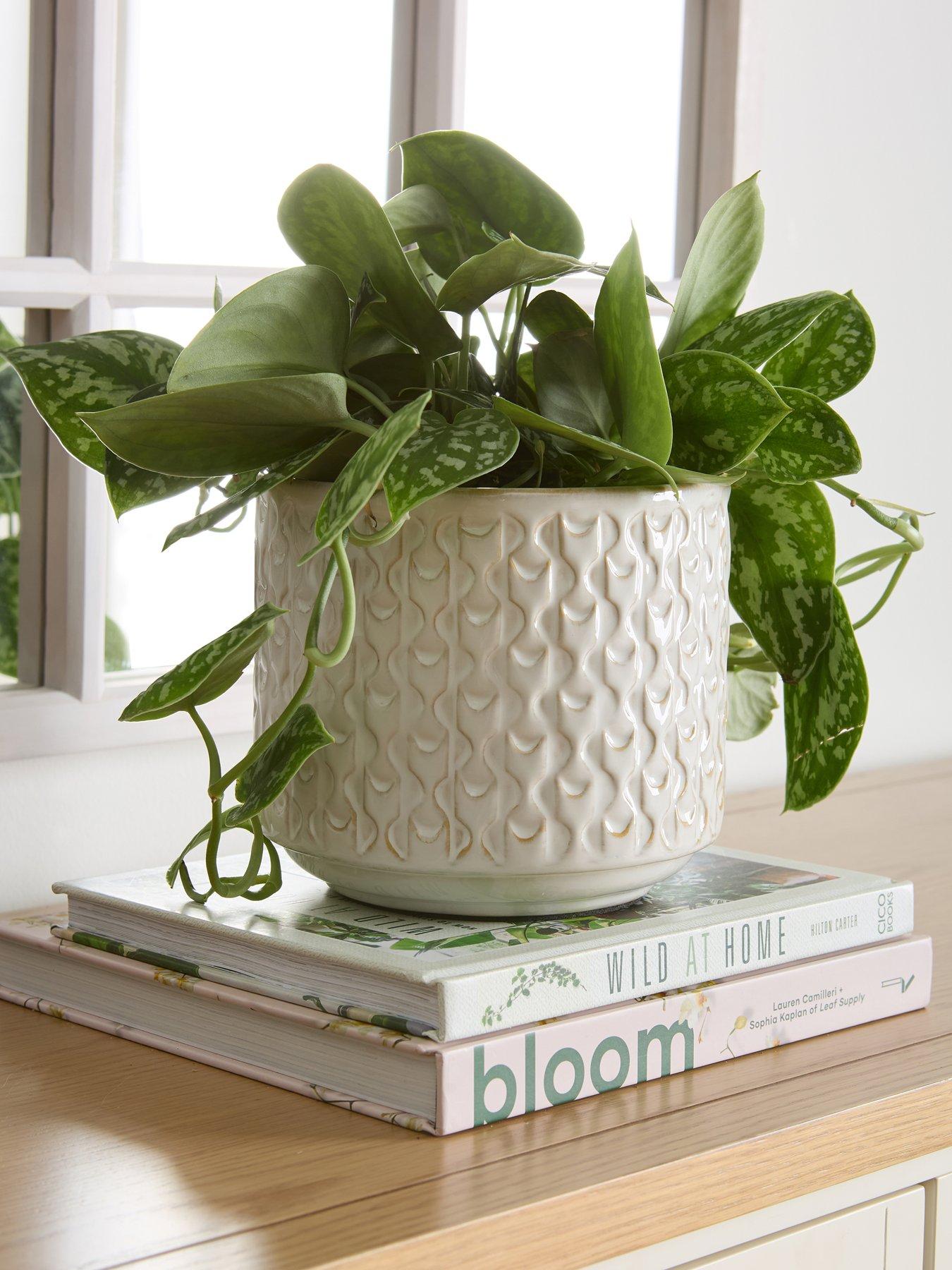 the-very-collection-ceramic-planter
