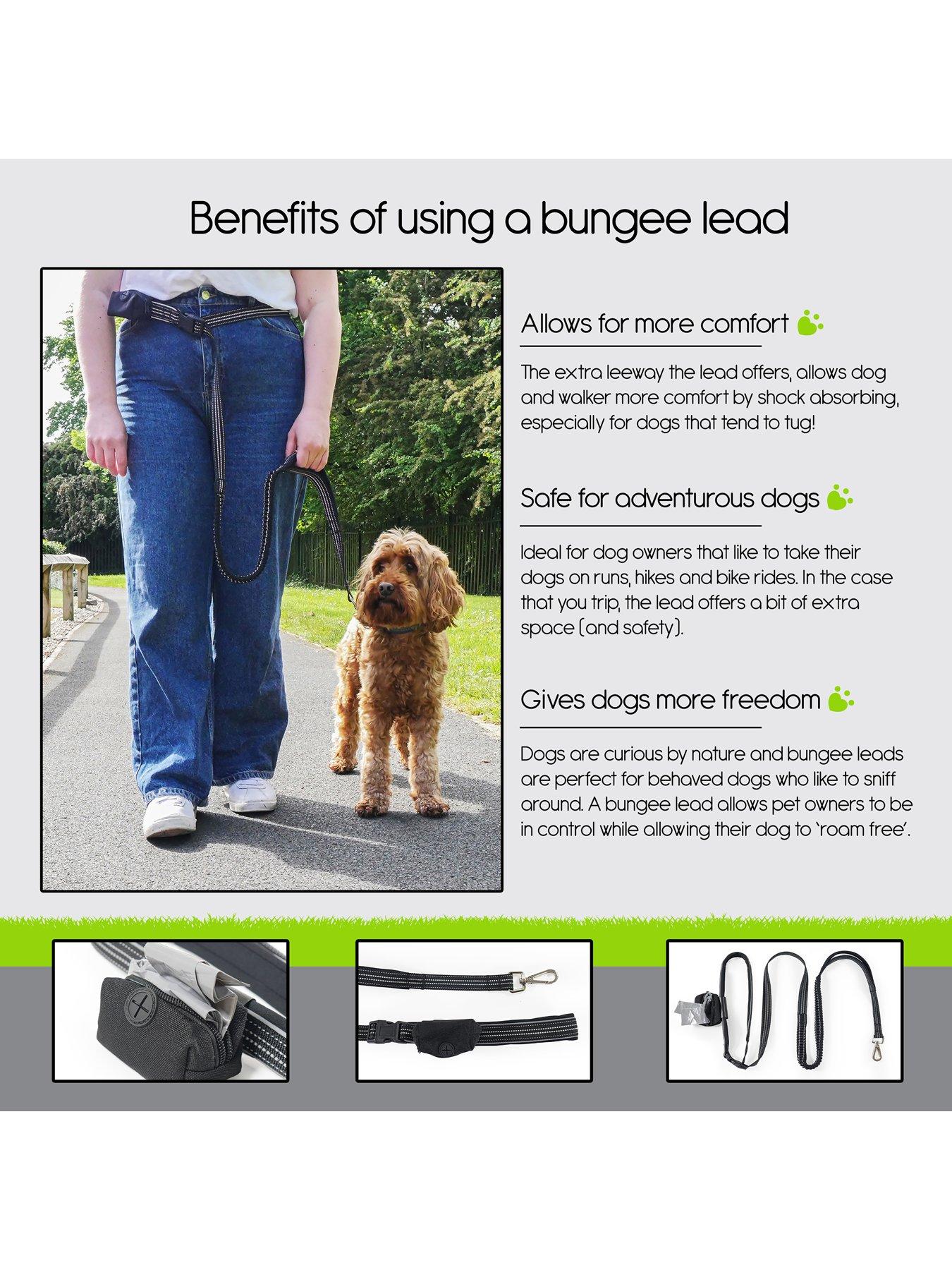 rosewood-dog-reflective-waist-exercise-leadrunning-with-zip-poop-bag-dispenser