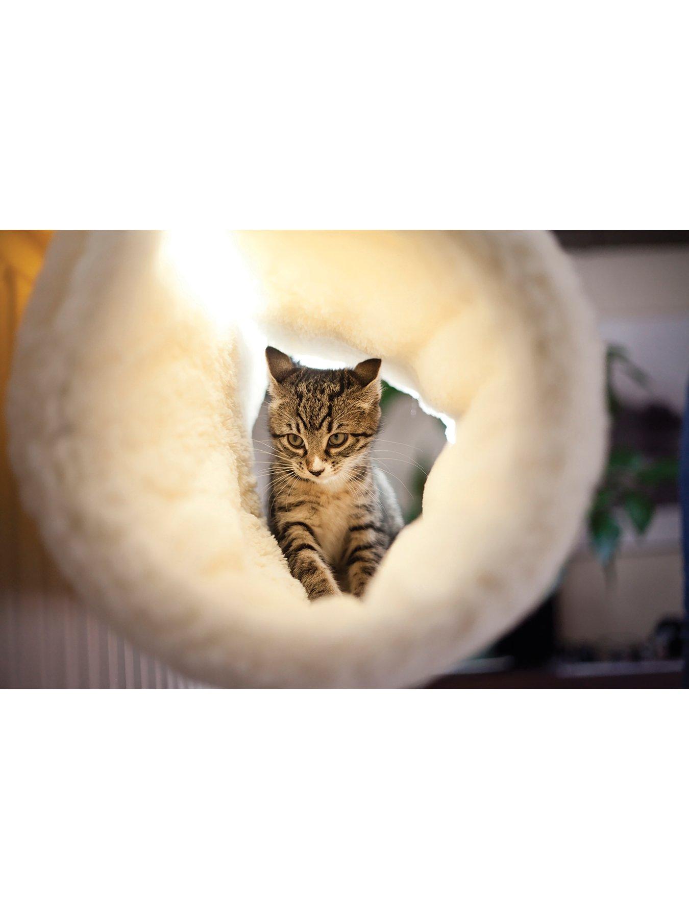 rosewood-luxury-radiator-cat-bedoutfit