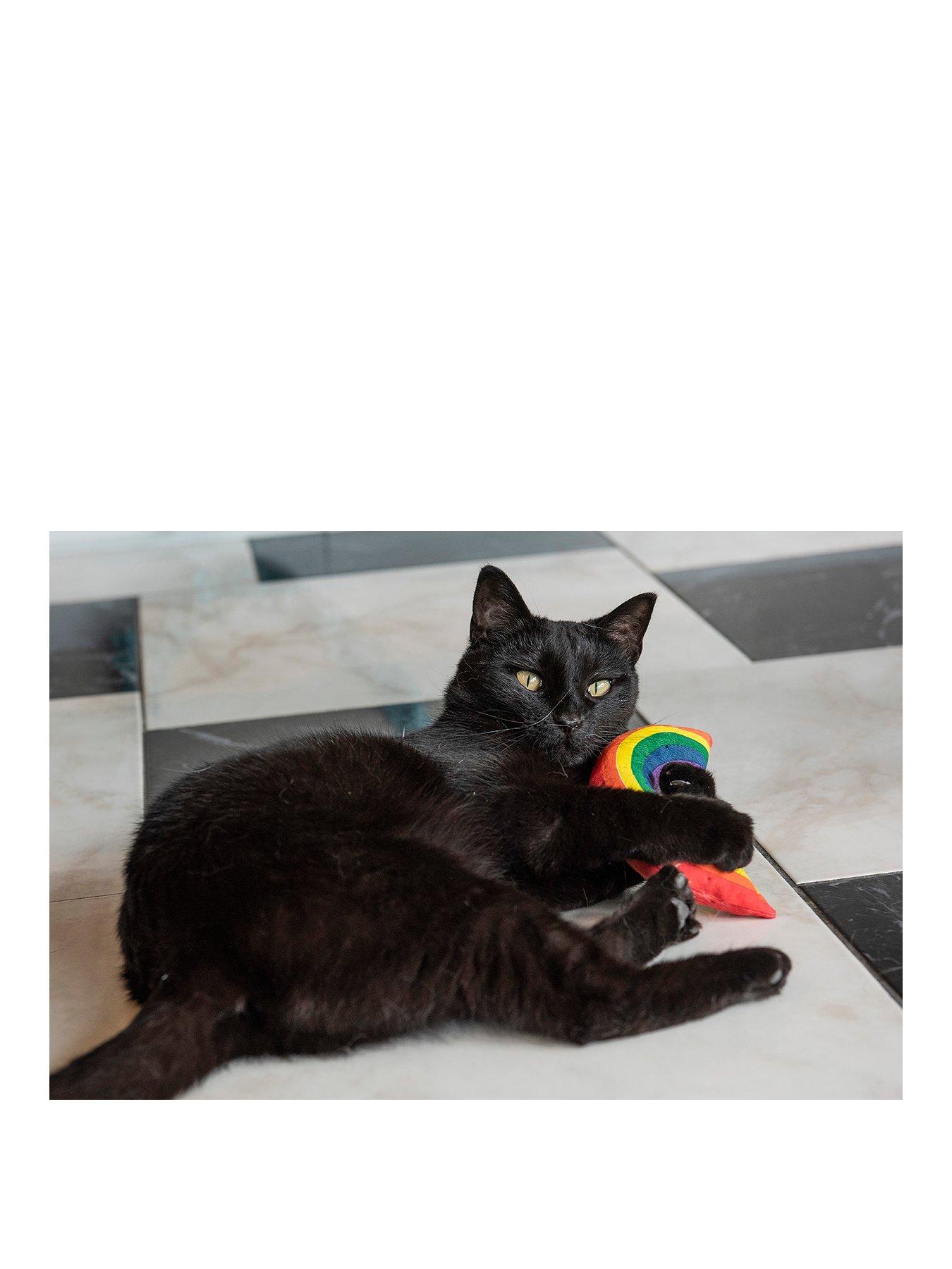 Image 2 of 5 of Yeowww! Yeowww! Rainbow Catnip Cat Toy