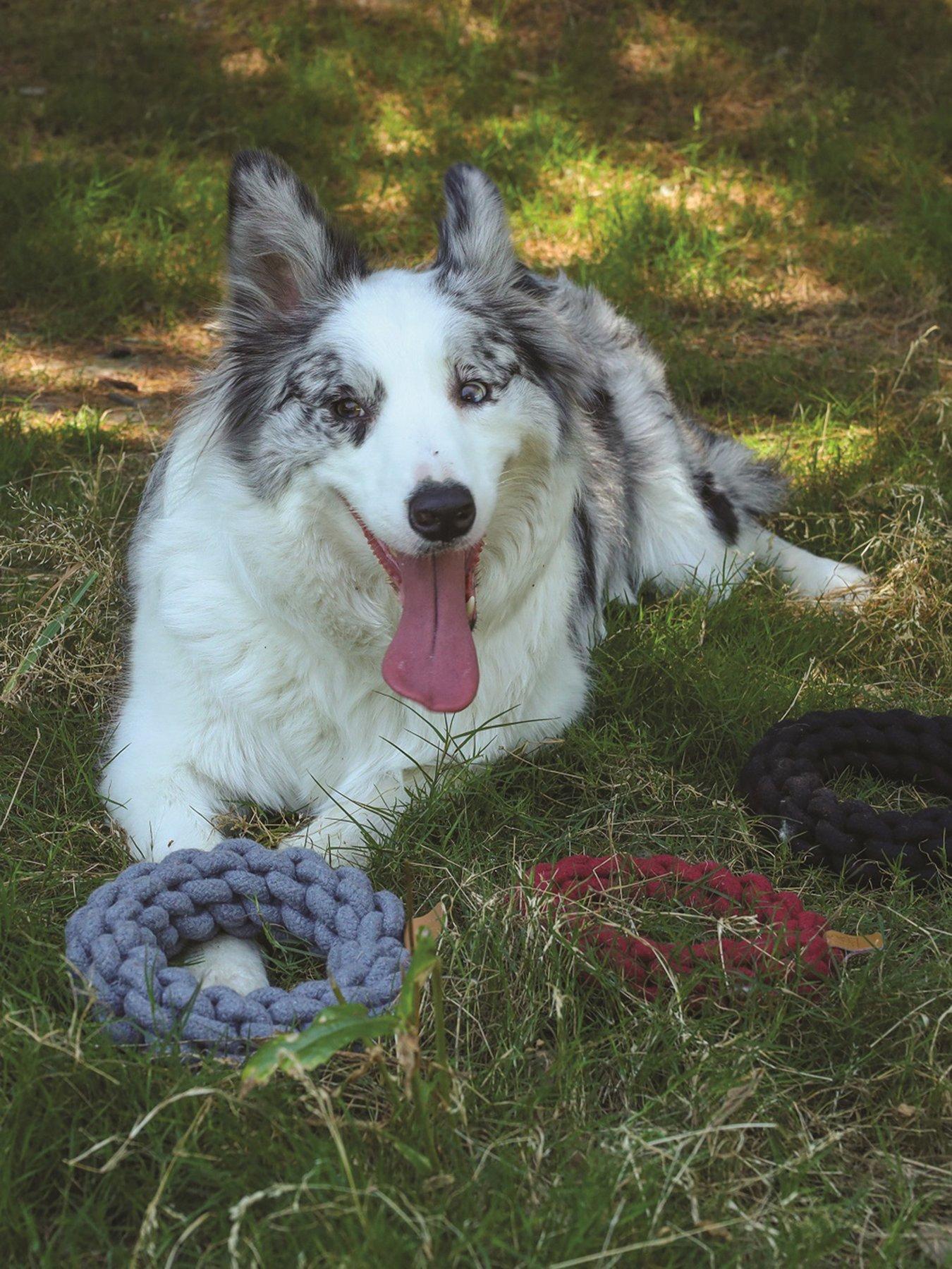 m-pets-coto-grey-loop-bar-34cm-coto-grey-ring-18cm