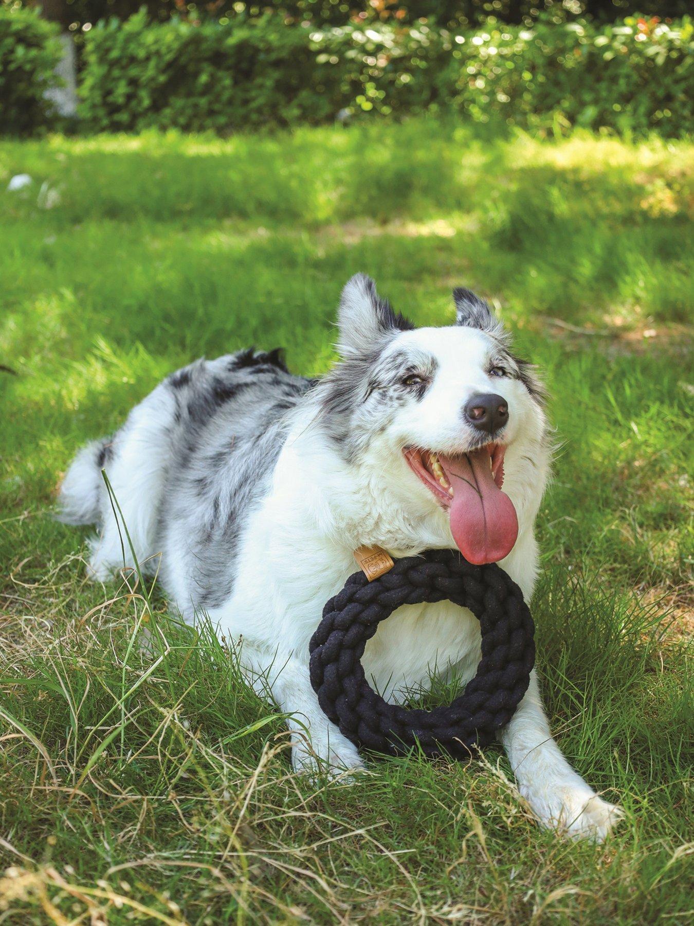 Image 1 of 6 of M-Pets Coto Black Loop Bar 34 Cm/ Coto Black Ring 18 Cm