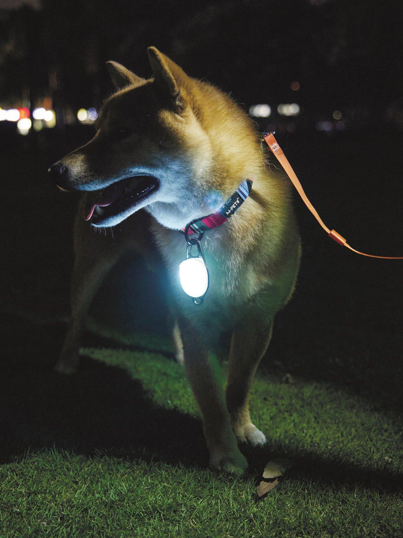 Image of M-Pets Rechargeable Led Jewel For Dog - White 2 Pack