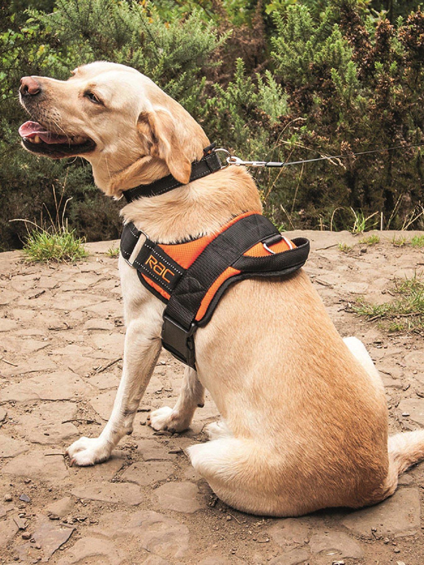 rac-rac-car-harness-medium