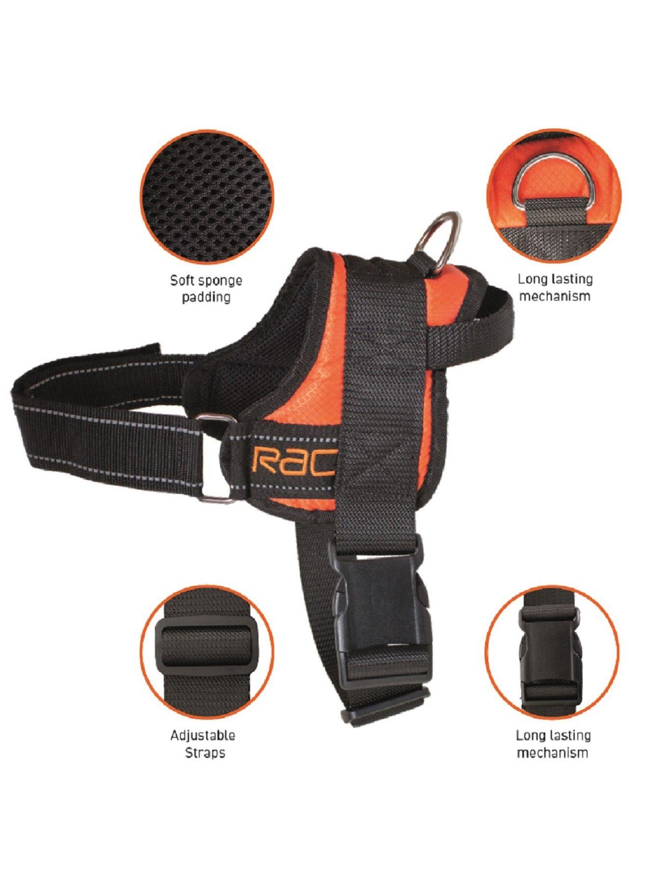 rac-rac-car-harness-mediumback