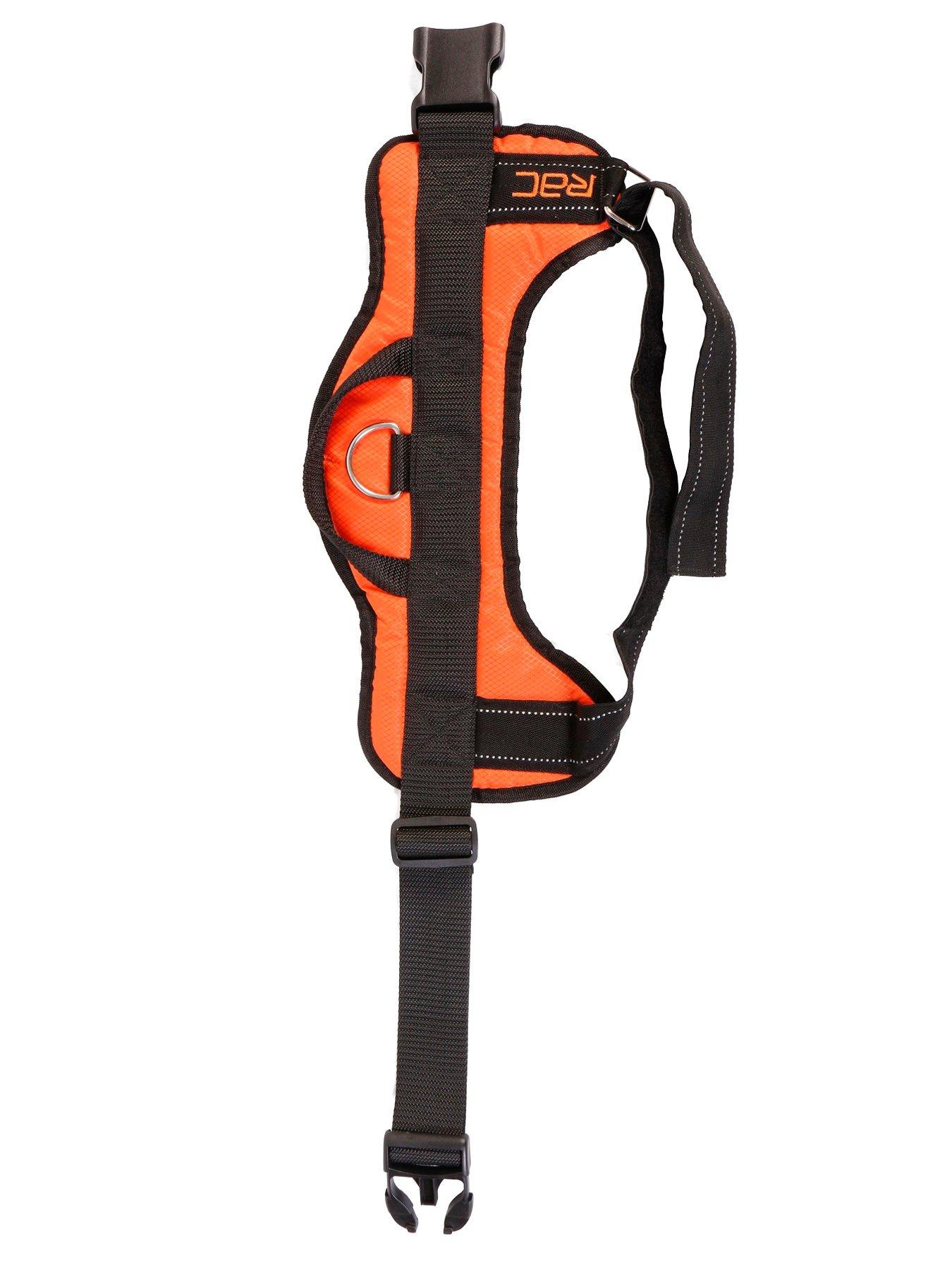 rac-rac-car-harness-mediumdetail