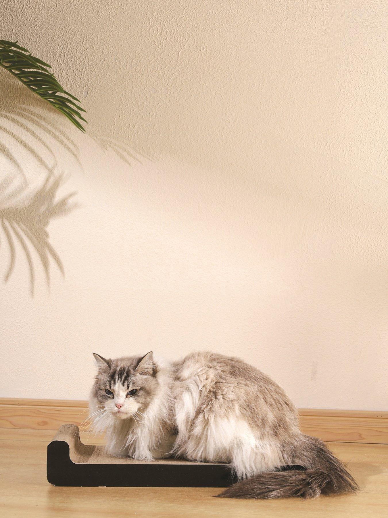 m-pets-my-scratchy-montana-cat-cardboard-scratchers