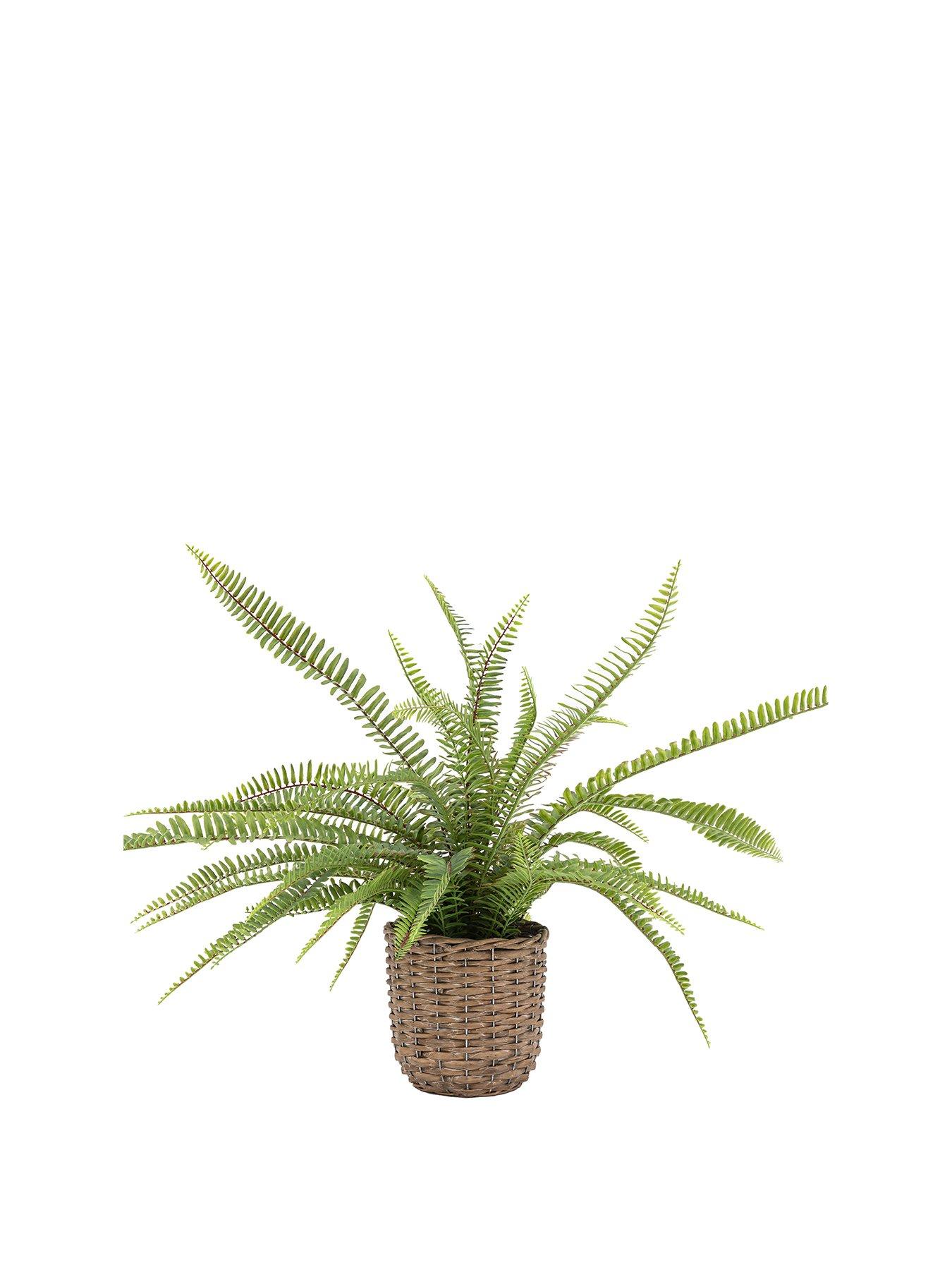 gallery-direct-artificial-fern-plant-in-potstillFront