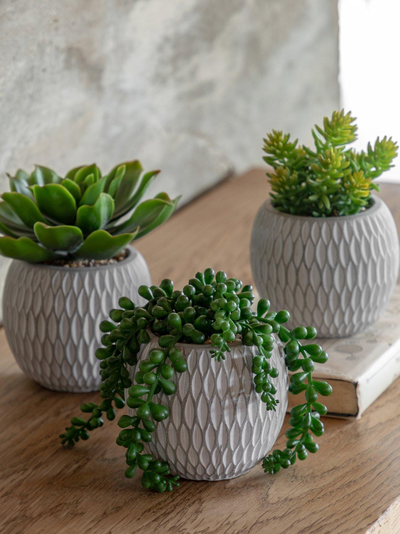 undefined Small Succulents Ceramic Pots Set Of 3