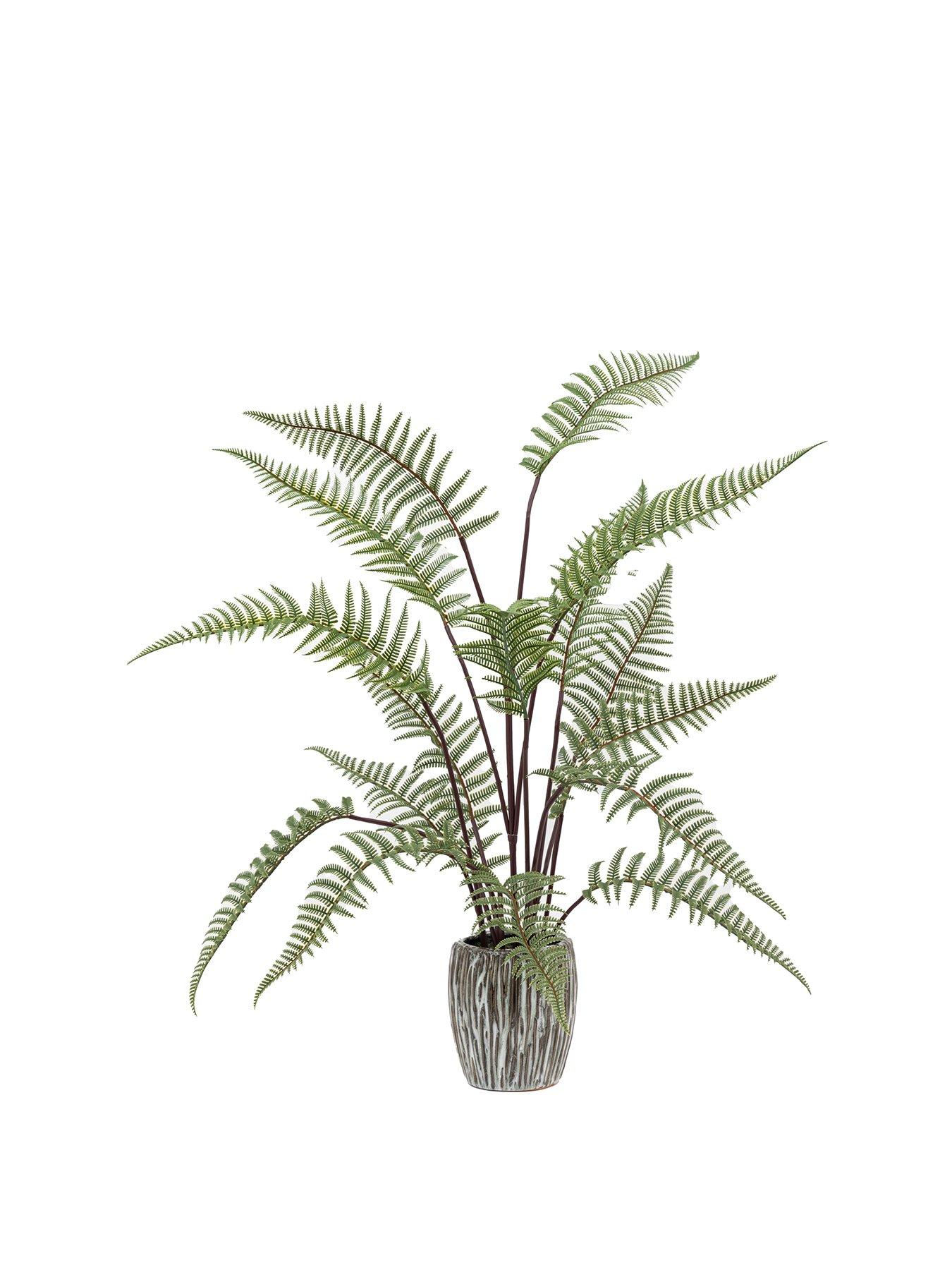 undefined Tall Fern In Textured Grey Ceramic Pot