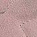 CLEAR_PINK/FTWR_WHITE/GUM_2