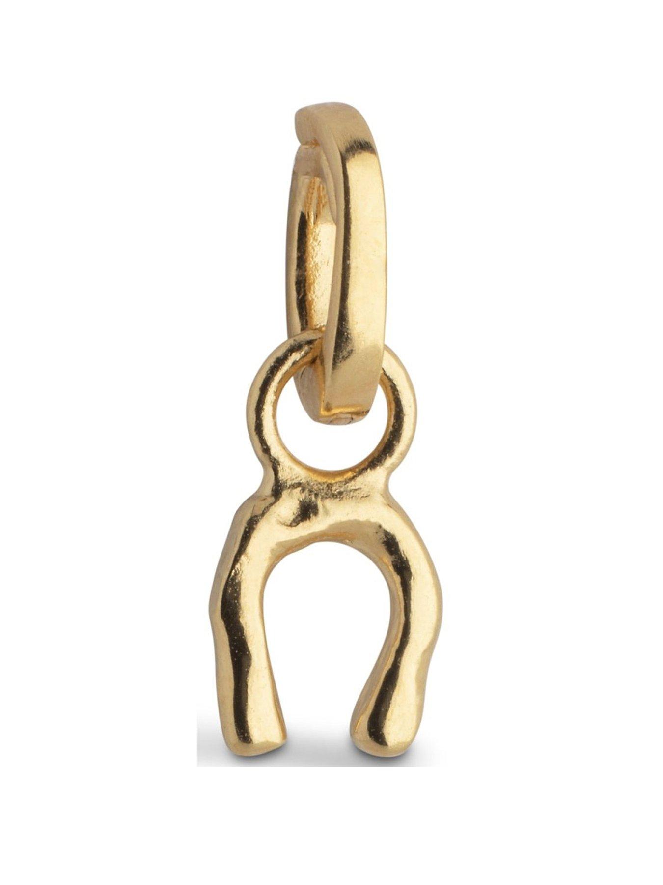 undefined Lucky Horseshoe Gold Charm