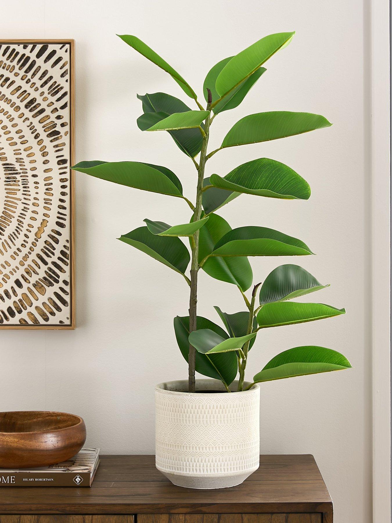 Image of Very Home Real Touch Faux Rubber Tree in Plastic Pot