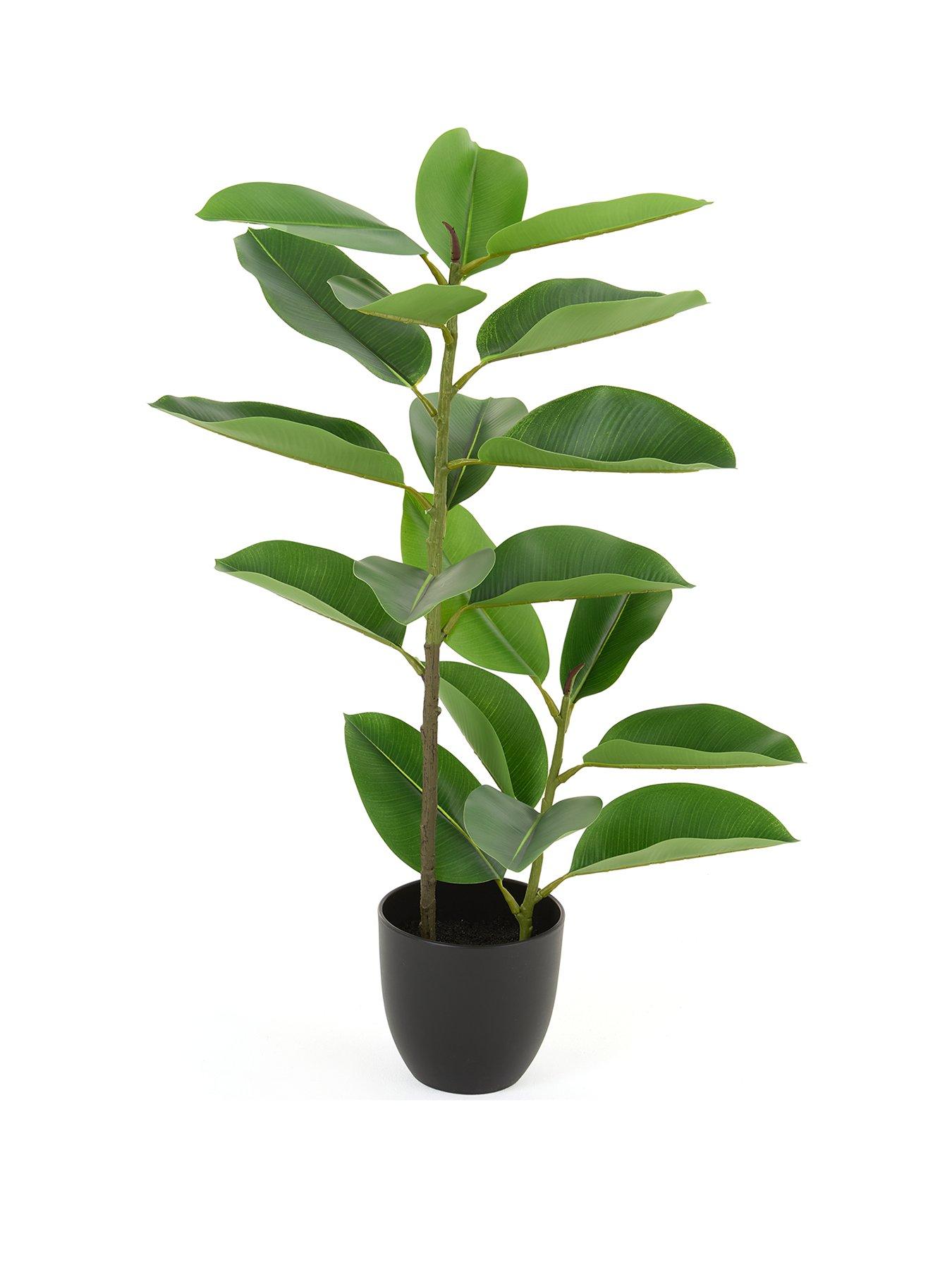 the-very-collection-real-touch-faux-rubber-tree-in-plastic-potstillFront