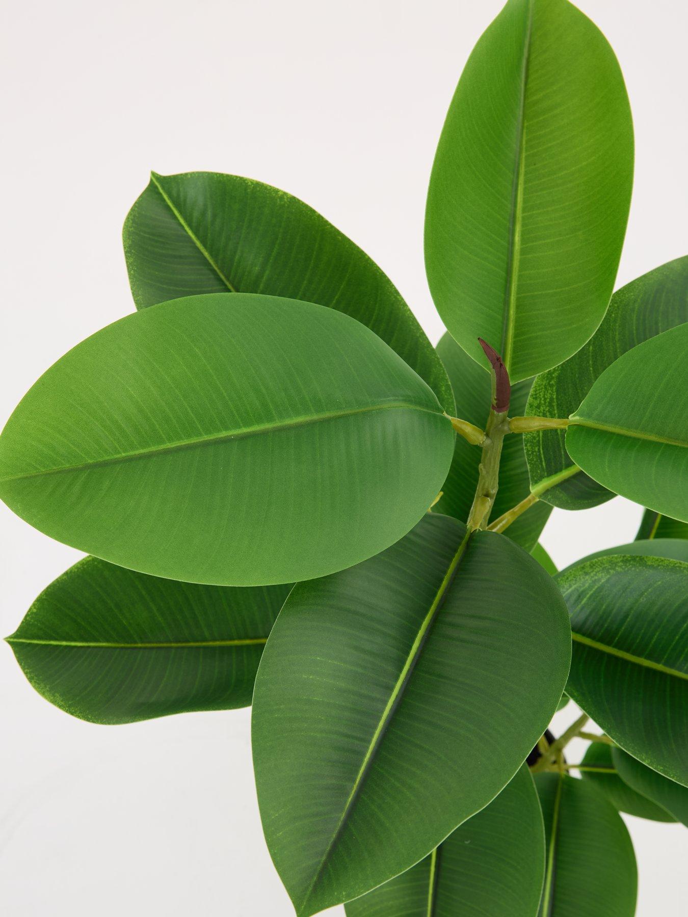 the-very-collection-real-touch-faux-rubber-tree-in-plastic-potback