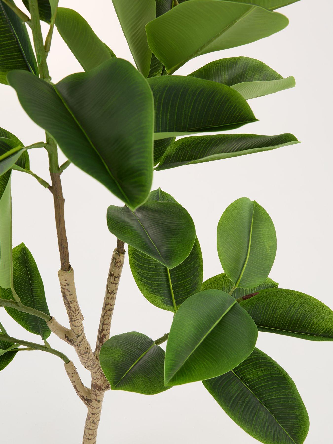 the-very-collection-real-touch-faux-rubber-tree-in-plastic-potback