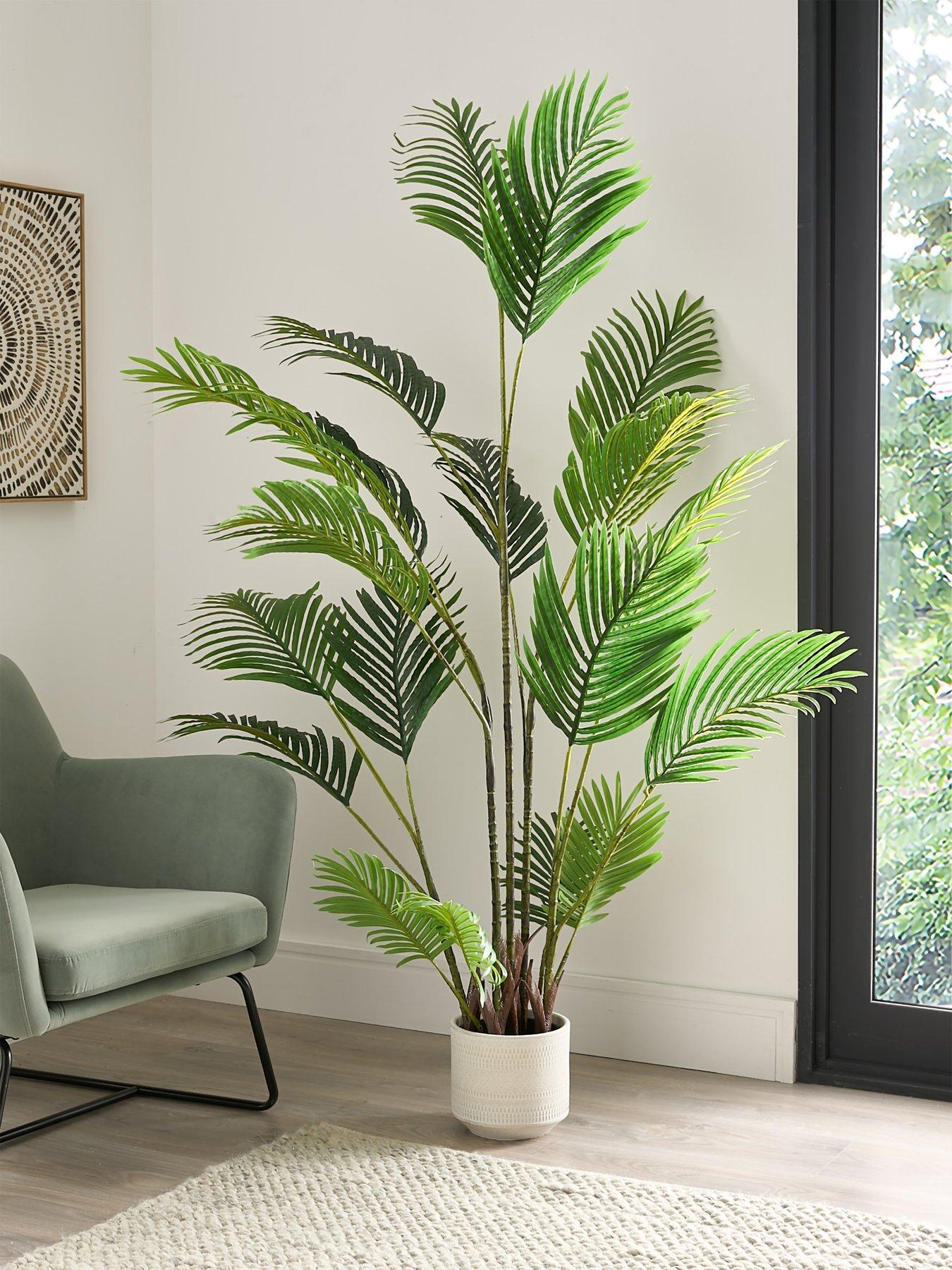 Image 1 of 7 of The Very Collection Real Touch Faux Pearl Palm Tree in Plastic Pot