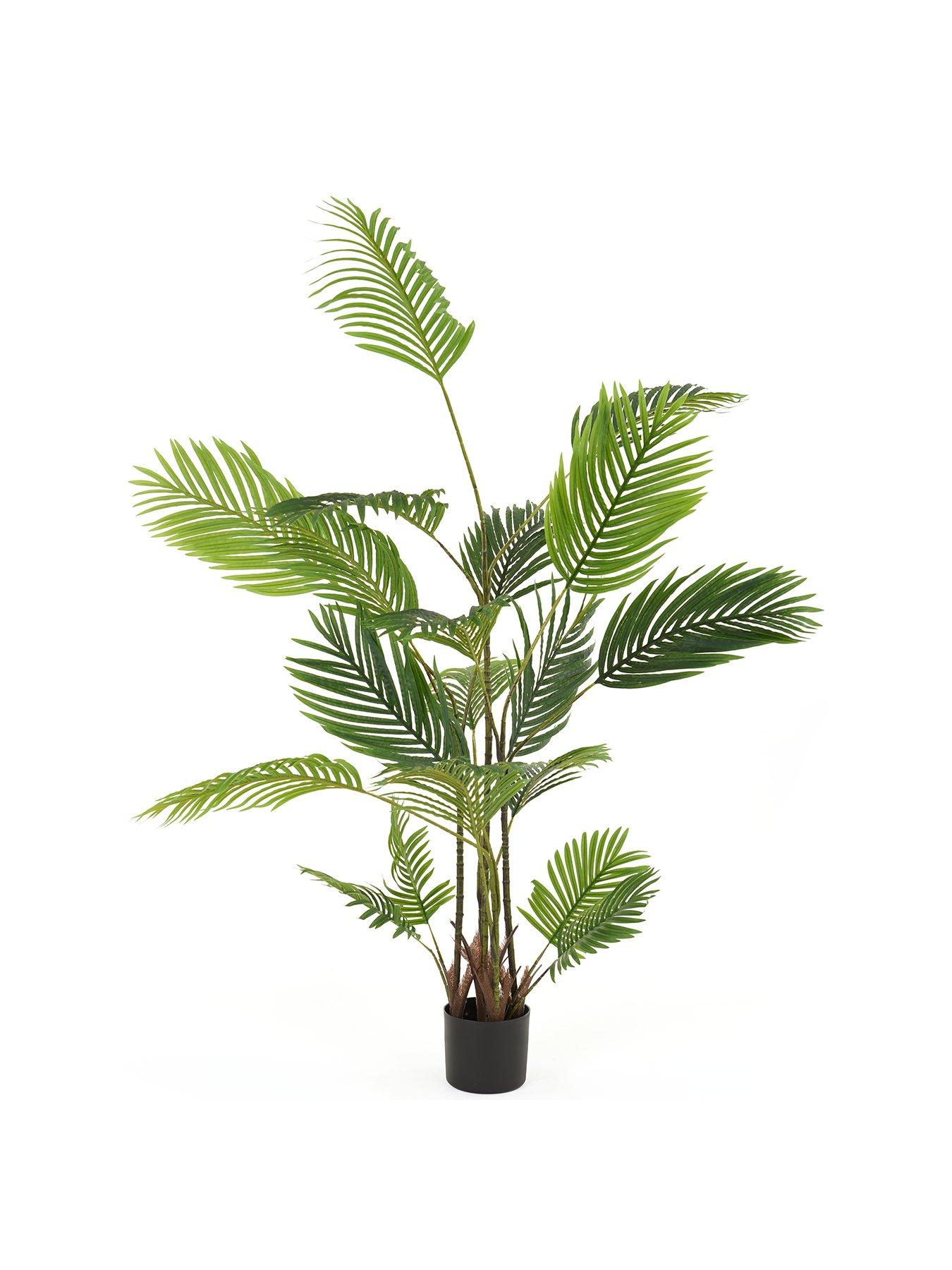 Image 2 of 7 of The Very Collection Real Touch Faux Pearl Palm Tree in Plastic Pot