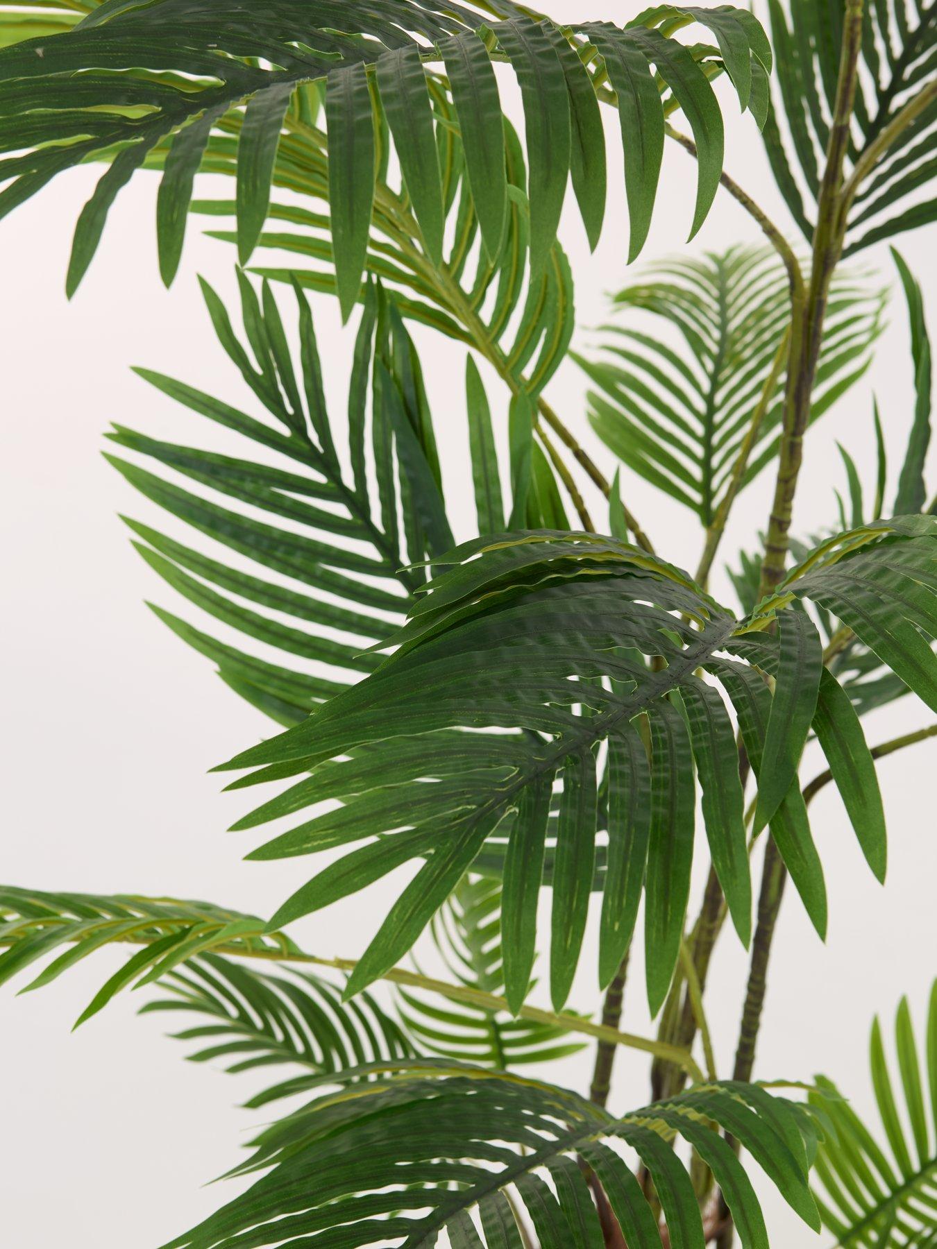 Image 6 of 7 of The Very Collection Real Touch Faux Pearl Palm Tree in Plastic Pot