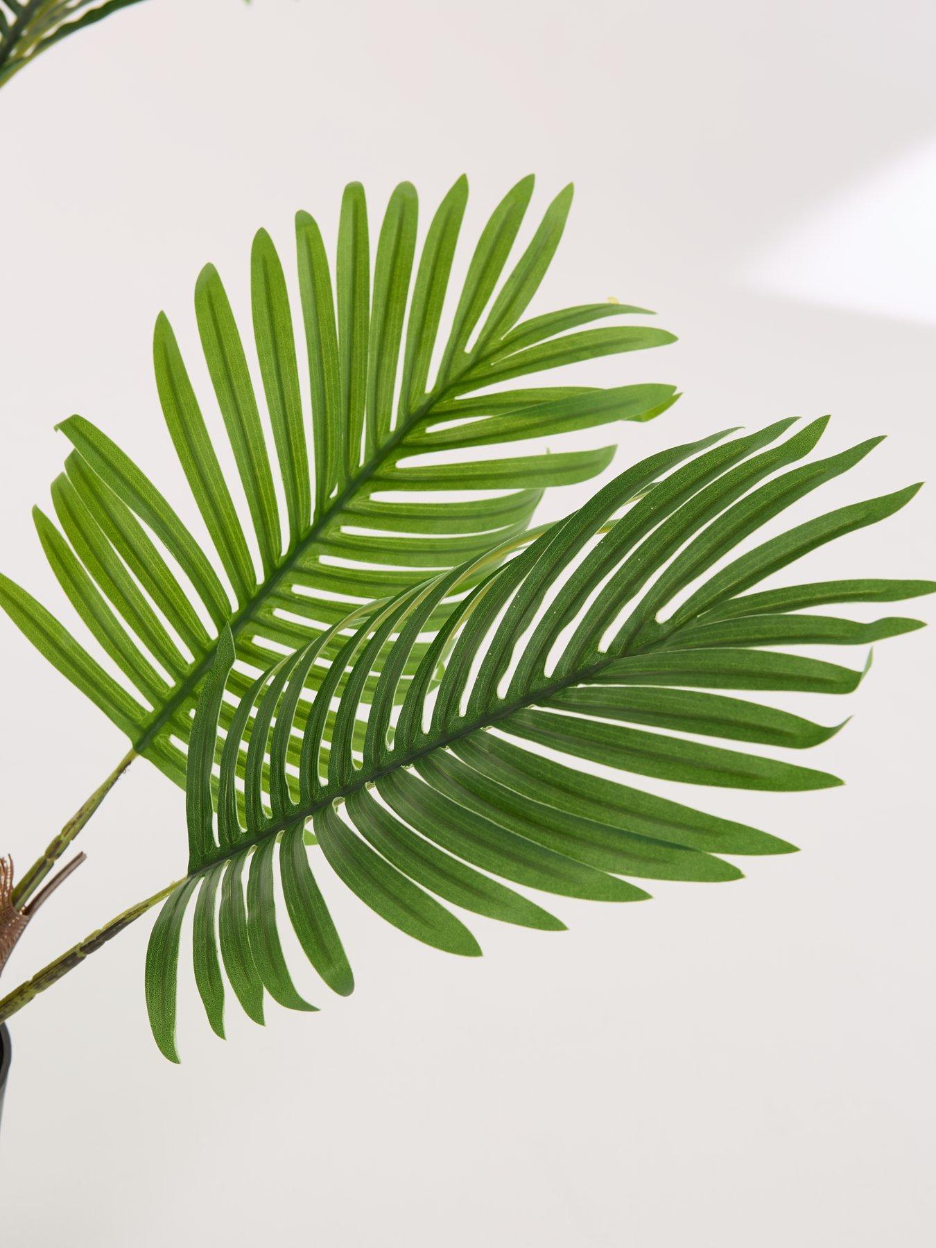 Image 7 of 7 of The Very Collection Real Touch Faux Pearl Palm Tree in Plastic Pot