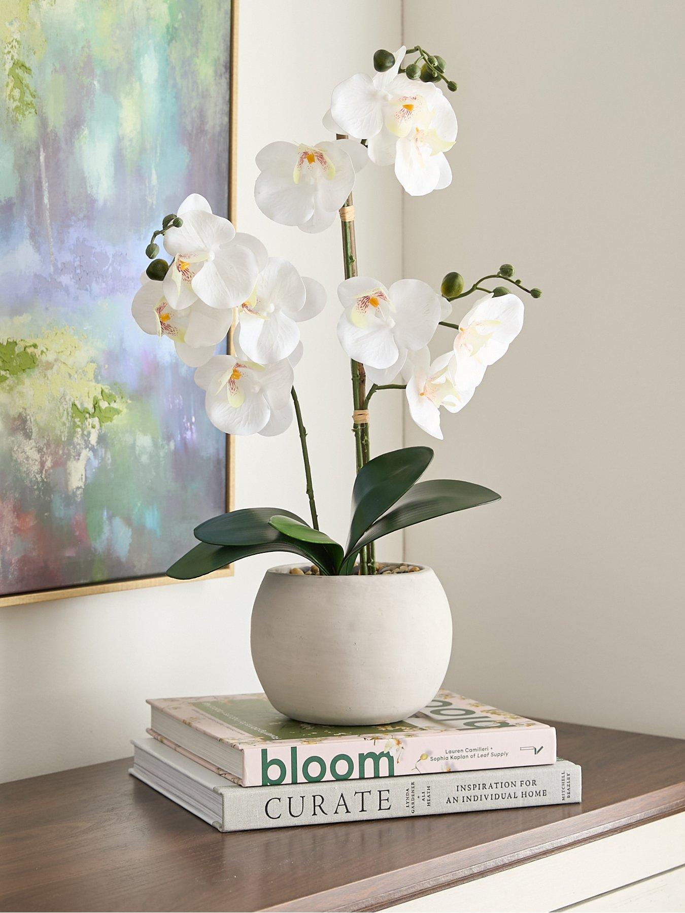Image of Very Home Faux Phalaenopsis Orchid in Round Cream Cement Pot