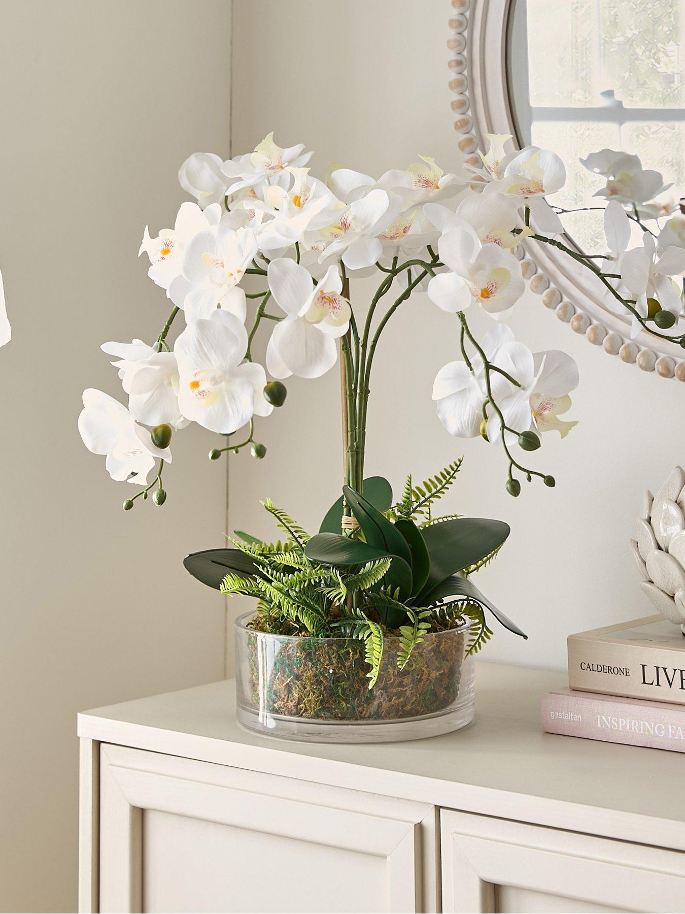 Image of Very Home Real Touch 5-Stem Faux Orchid with Fern in Glass Pot