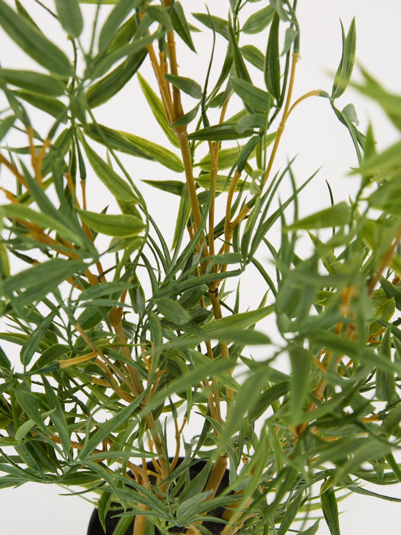 Image 6 of 7 of The Very Collection Faux Mini-Leaf Bamboo Tree&nbsp;