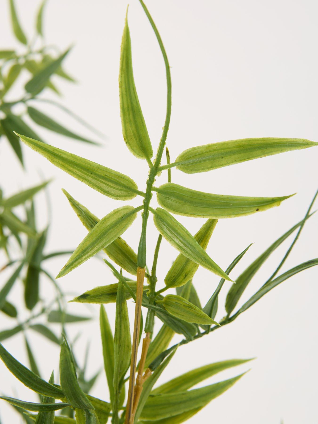 Image 7 of 7 of The Very Collection Faux Mini-Leaf Bamboo Tree&nbsp;